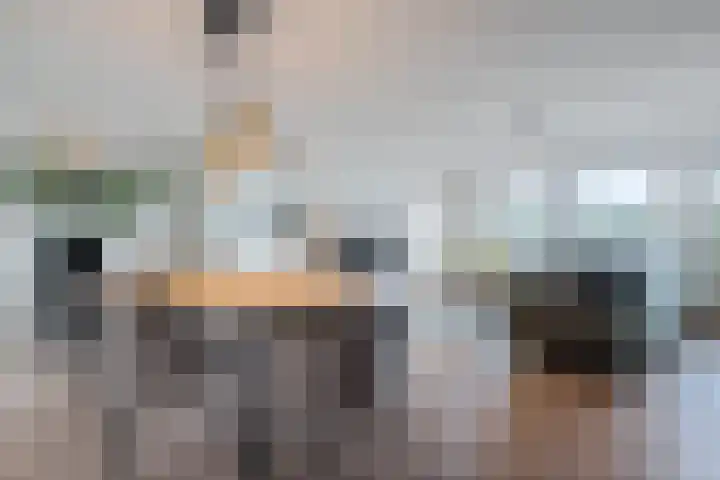 S.O.J. Palmelaan 255 Groningen thumbnail 7