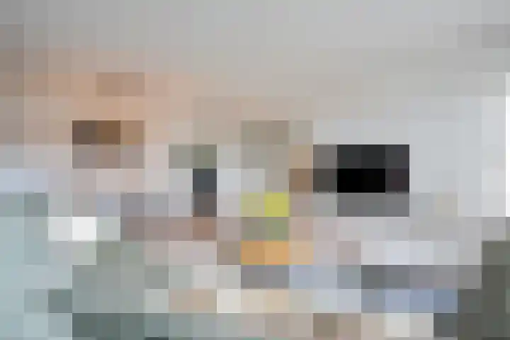 S.O.J. Palmelaan 255 Groningen thumbnail 8