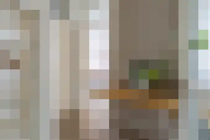 S.O.J. Palmelaan 89 Groningen thumbnail 15