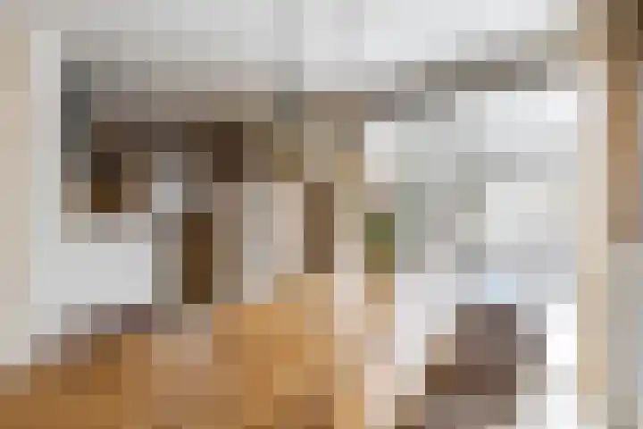 S.O.J. Palmelaan 89 Groningen thumbnail 18