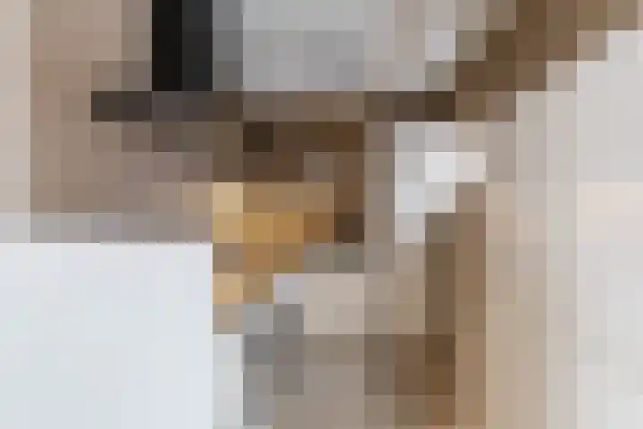 S.O.J. Palmelaan 89 Groningen thumbnail 19
