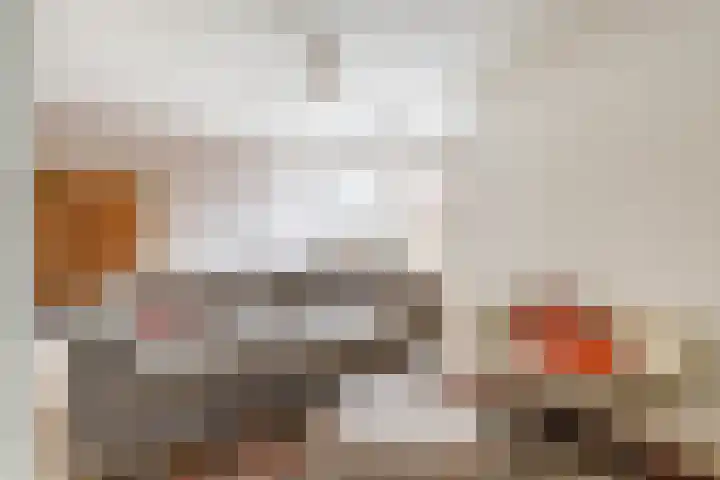 S.O.J. Palmelaan 89 Groningen thumbnail 26