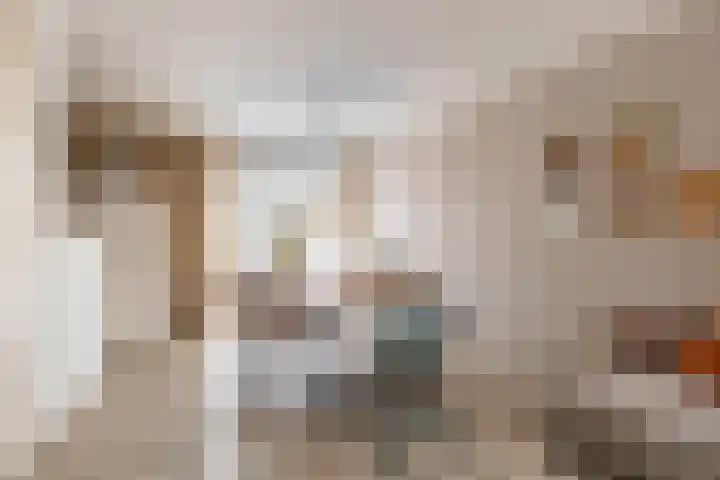 S.O.J. Palmelaan 89 Groningen thumbnail 4