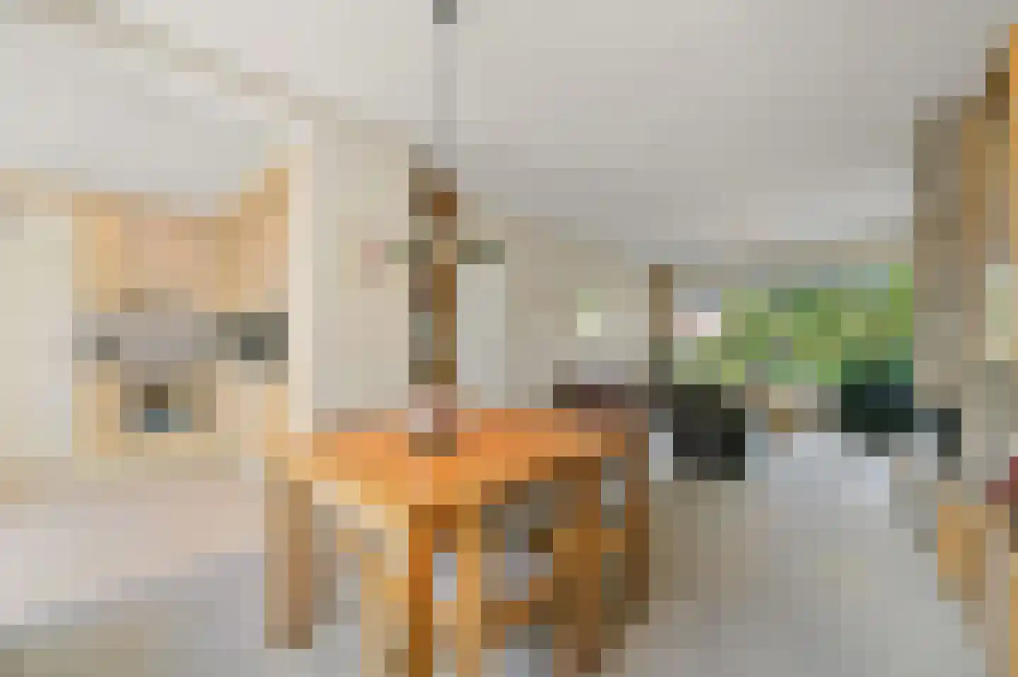 's-Prinsensingel 15 Maasland thumbnail 13