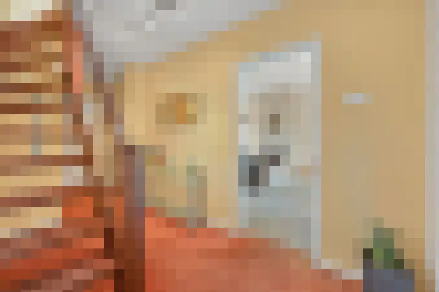 's-Prinsensingel 15 Maasland thumbnail 9