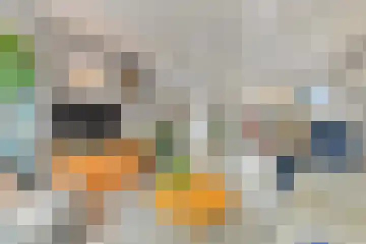 's-Prinsensingel 26 Maasland thumbnail 11