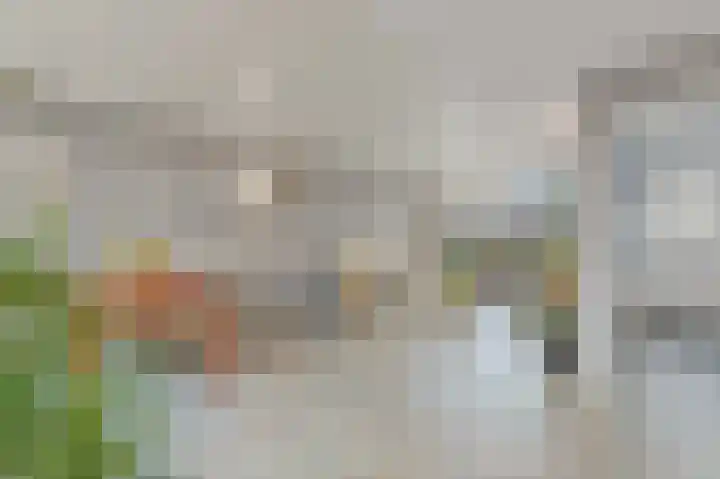 's-Prinsensingel 26 Maasland thumbnail 14