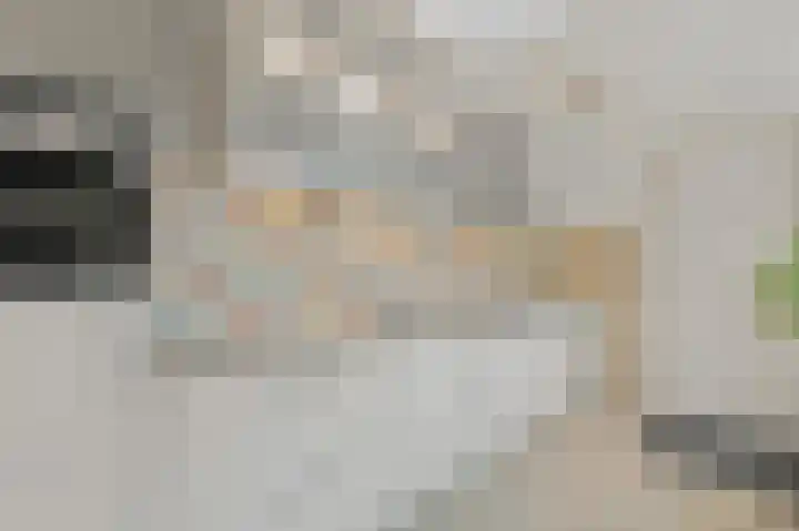 's-Prinsensingel 26 Maasland thumbnail 15