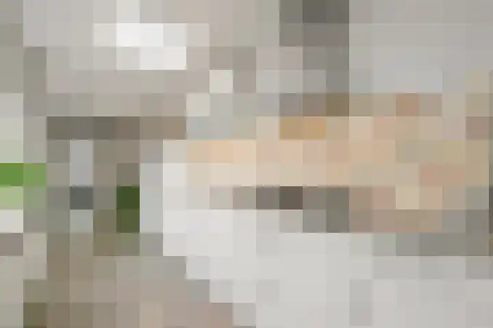 's-Prinsensingel 26 Maasland thumbnail 16