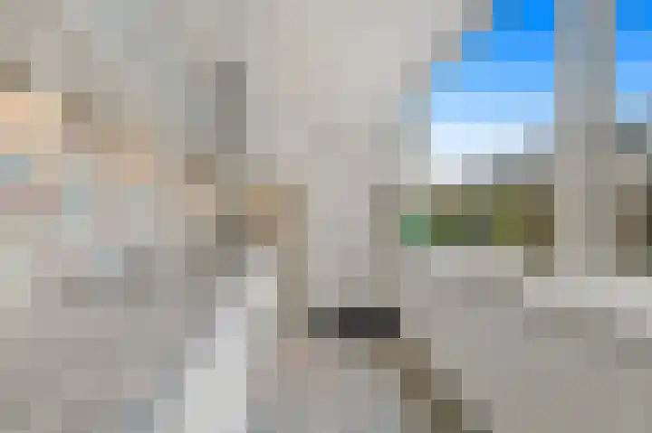 's-Prinsensingel 26 Maasland thumbnail 17