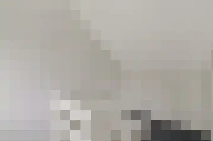 's-Prinsensingel 26 Maasland thumbnail 35