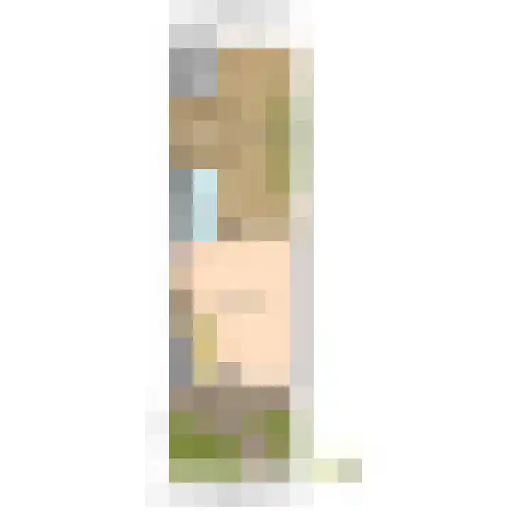 's-Prinsensingel 26 Maasland thumbnail 41