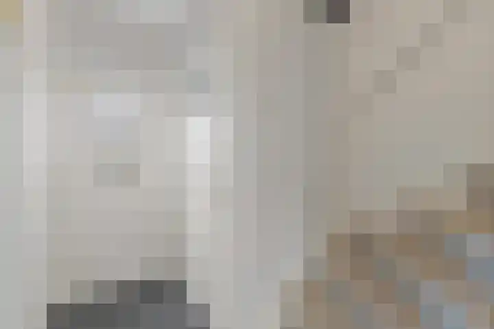 's-Prinsensingel 26 Maasland thumbnail 8