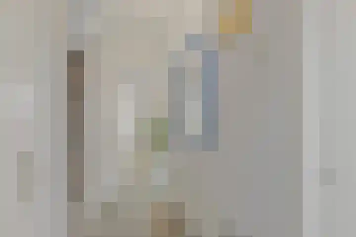 's-Prinsensingel 26 Maasland thumbnail 9