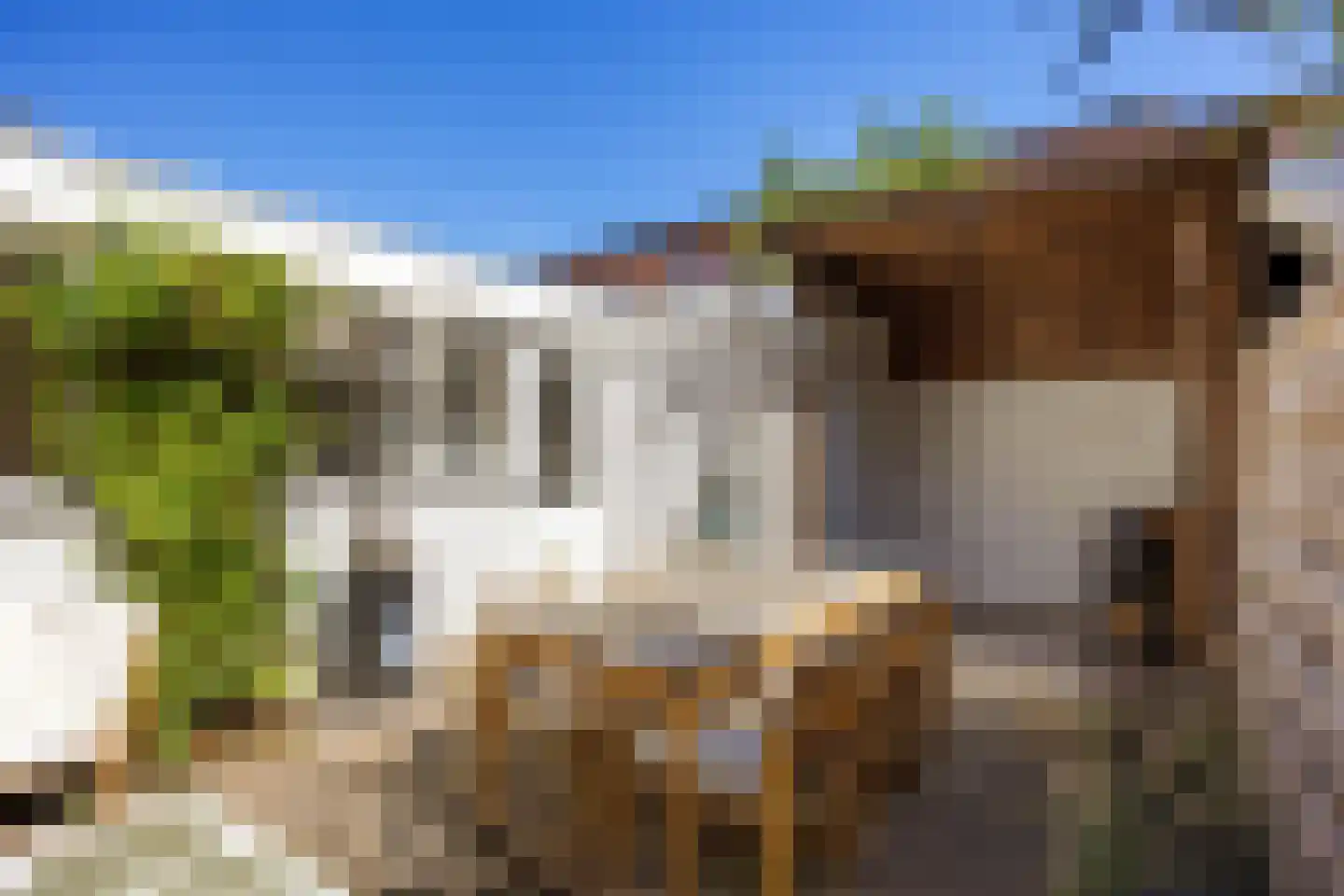 S.S. Rosensteinlaan 4 Groningen thumbnail 43