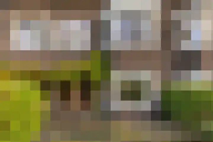 S.S. Rosensteinlaan 6 Groningen thumbnail 10