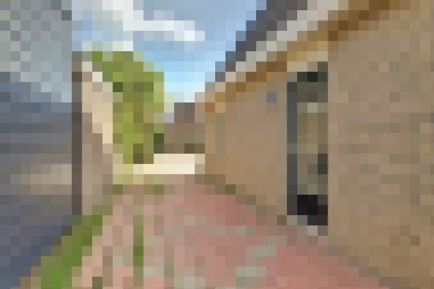 S. van der Molenstrjitte 5 Wijnaldum thumbnail 29
