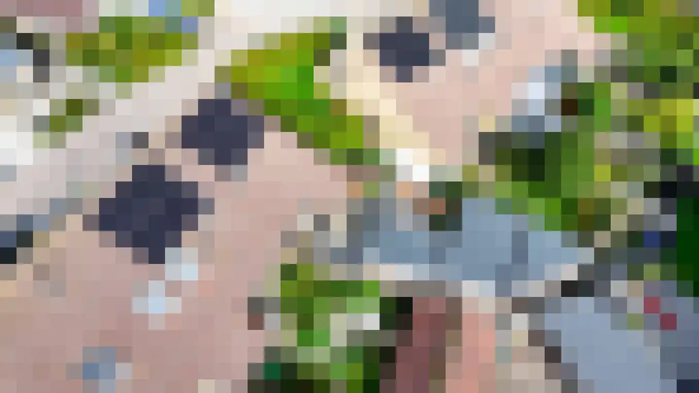 S. van der Molenstrjitte 6 Wijnaldum thumbnail 42