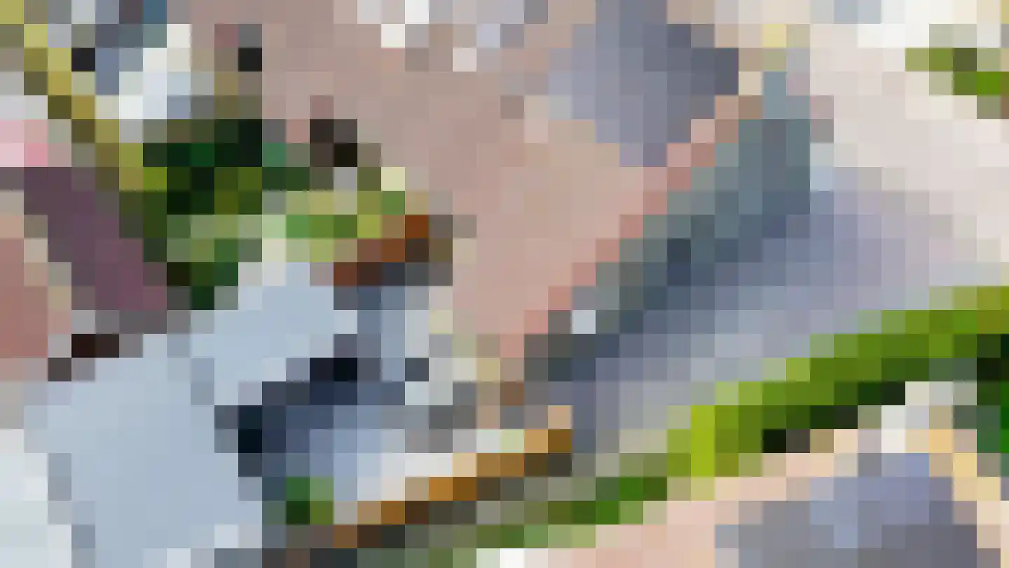 S. van der Molenstrjitte 6 Wijnaldum thumbnail 44