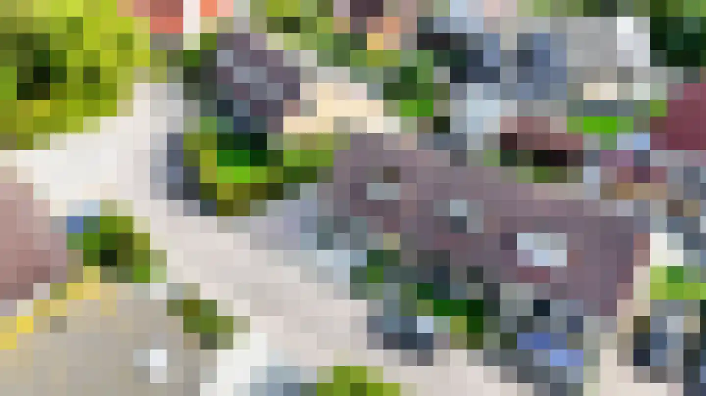 S. van der Molenstrjitte 6 Wijnaldum thumbnail 47
