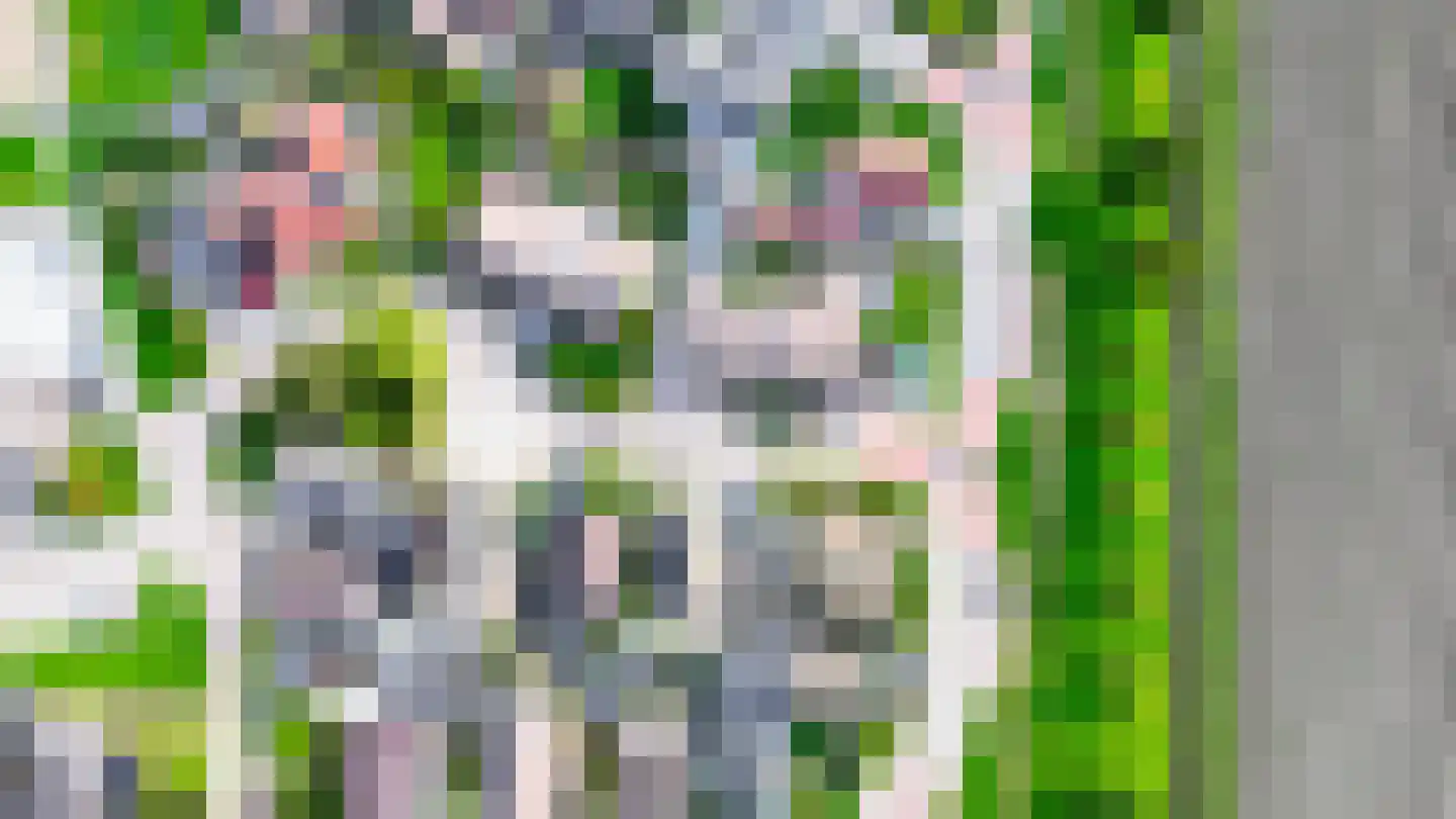 S. van der Molenstrjitte 6 Wijnaldum thumbnail 48
