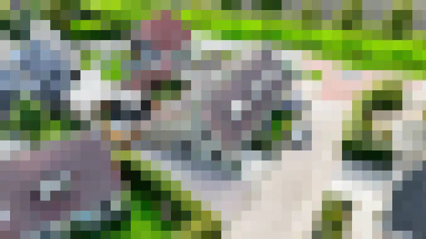 S. van der Molenstrjitte 6 Wijnaldum thumbnail 49