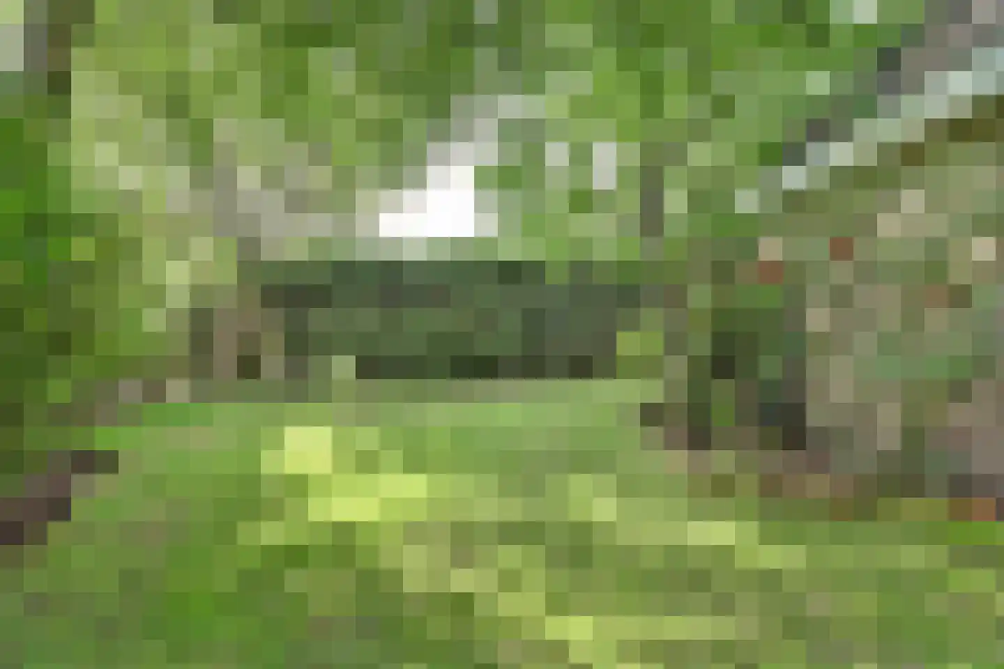 S. van der Molenstrjitte 7 Wijnaldum thumbnail 26