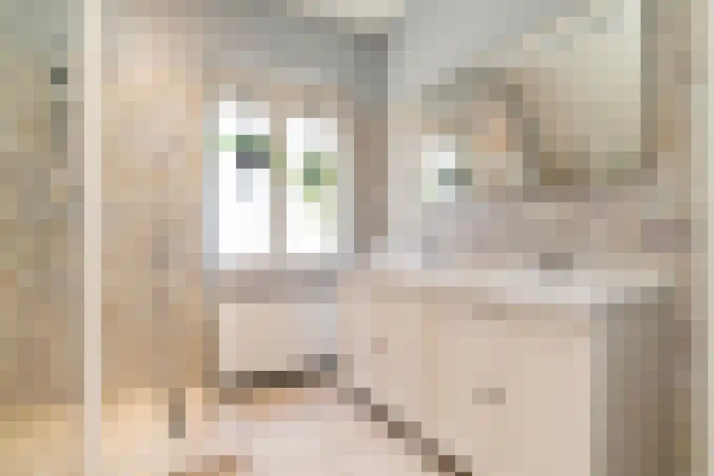 S. van Ravesteynkade 388 Rotterdam thumbnail 22