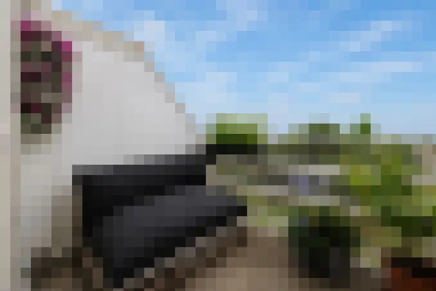S. van Ravesteynstraat 100 Almere thumbnail 4