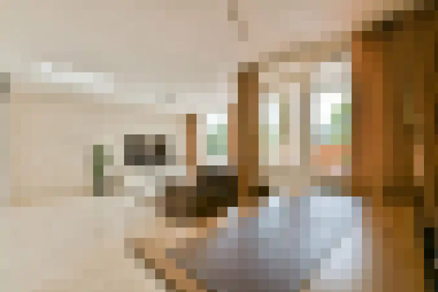 S. van Ravesteynstraat 76 Almere thumbnail 10
