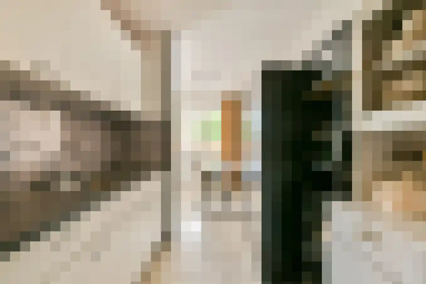 S. van Ravesteynstraat 76 Almere thumbnail 12
