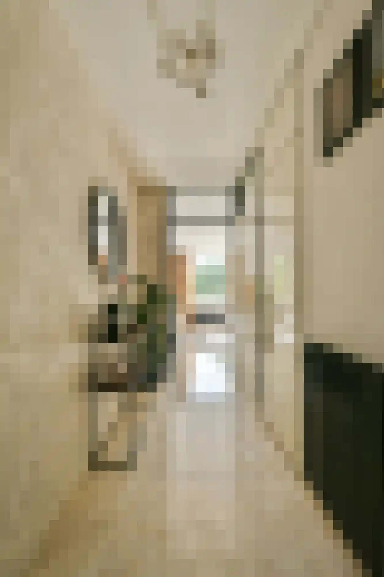 S. van Ravesteynstraat 76 Almere thumbnail 5