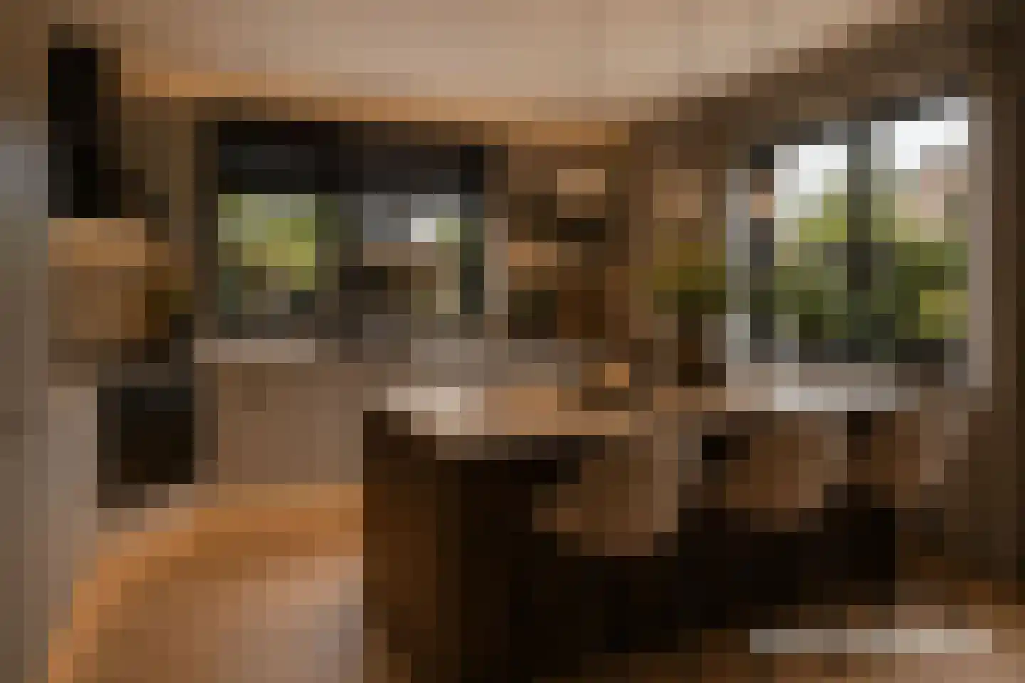 S. van Stratenplein 7 Dokkum thumbnail 20