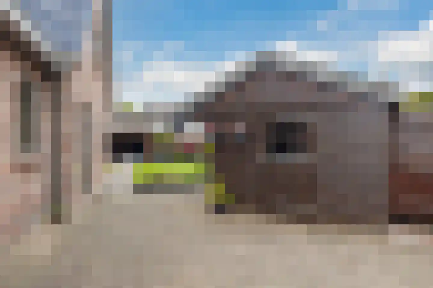 S. van Stratenplein 7 Dokkum thumbnail 42