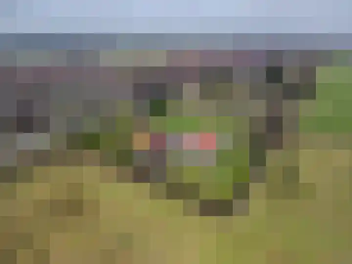 S.W. de Clercqweg 4 Vlagtwedde thumbnail 10
