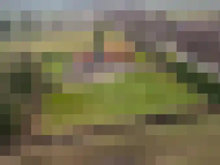 S.W. de Clercqweg 4 Vlagtwedde thumbnail 11
