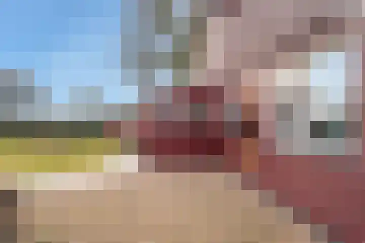 S.W. de Clercqweg 4 Vlagtwedde thumbnail 15