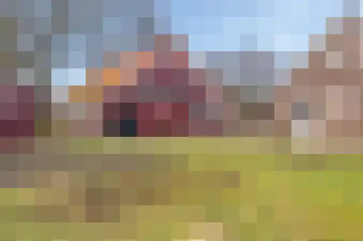 S.W. de Clercqweg 4 Vlagtwedde thumbnail 18