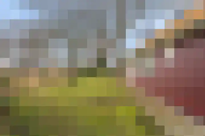 S.W. de Clercqweg 4 Vlagtwedde thumbnail 19
