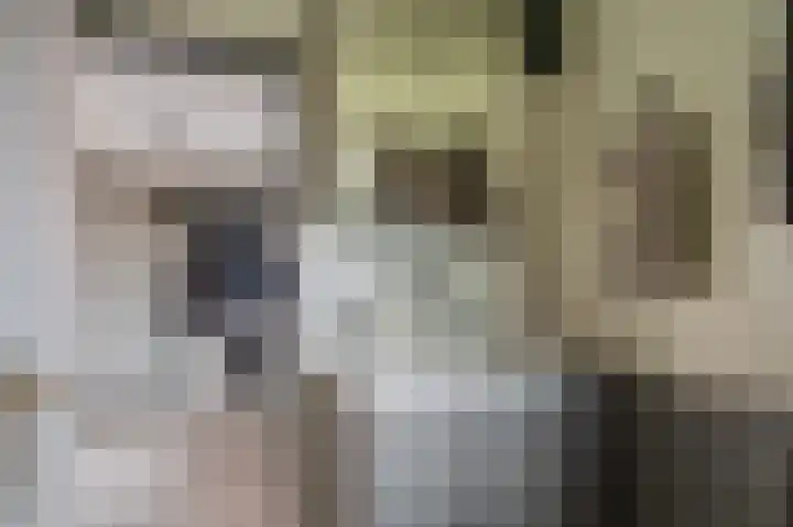 S.W. de Clercqweg 4 Vlagtwedde thumbnail 35