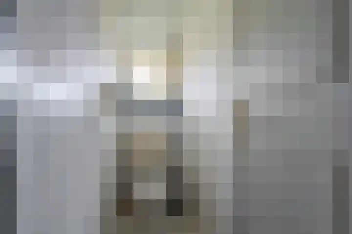 S.W. de Clercqweg 4 Vlagtwedde thumbnail 36
