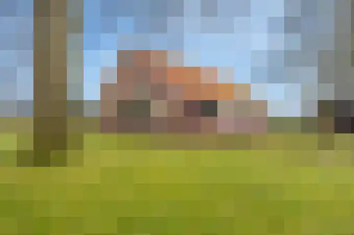 S.W. de Clercqweg 4 Vlagtwedde thumbnail 6