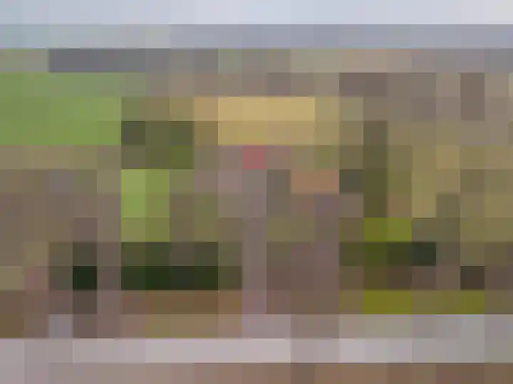 S.W. de Clercqweg 4 Vlagtwedde thumbnail 8