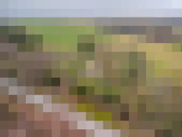 S.W. de Clercqweg 4 Vlagtwedde thumbnail 9