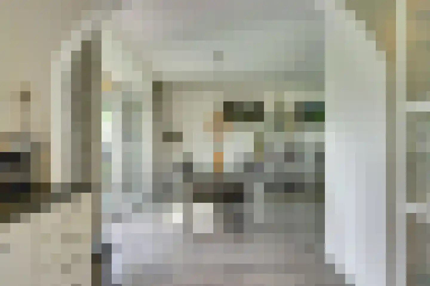 Saaftingestraat 39 Rilland thumbnail 10
