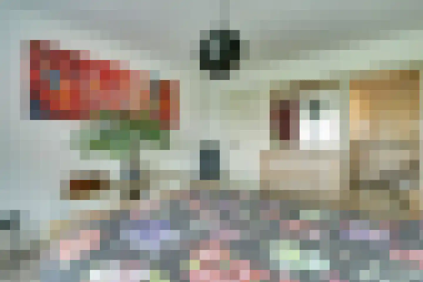 Saaftingestraat 39 Rilland thumbnail 16