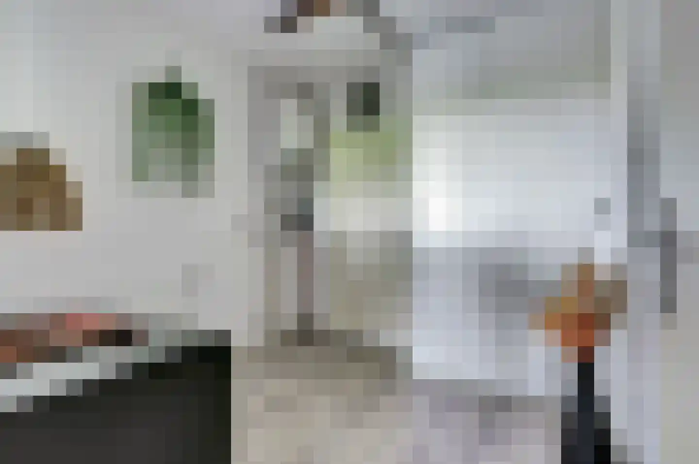 Saaftingestraat 39 Rilland thumbnail 17