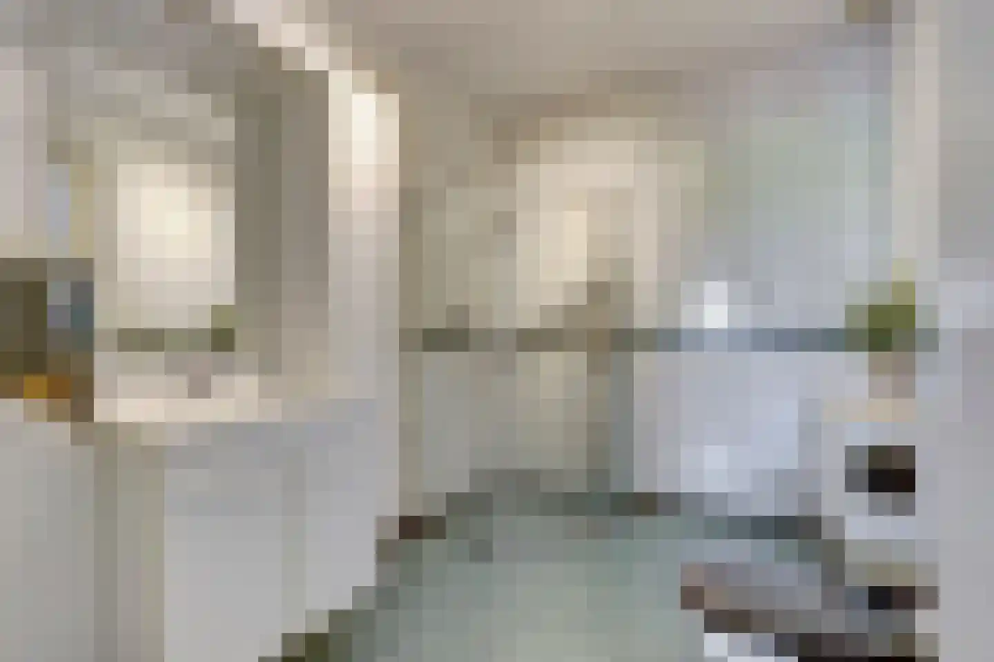 Saaftingestraat 39 Rilland thumbnail 18