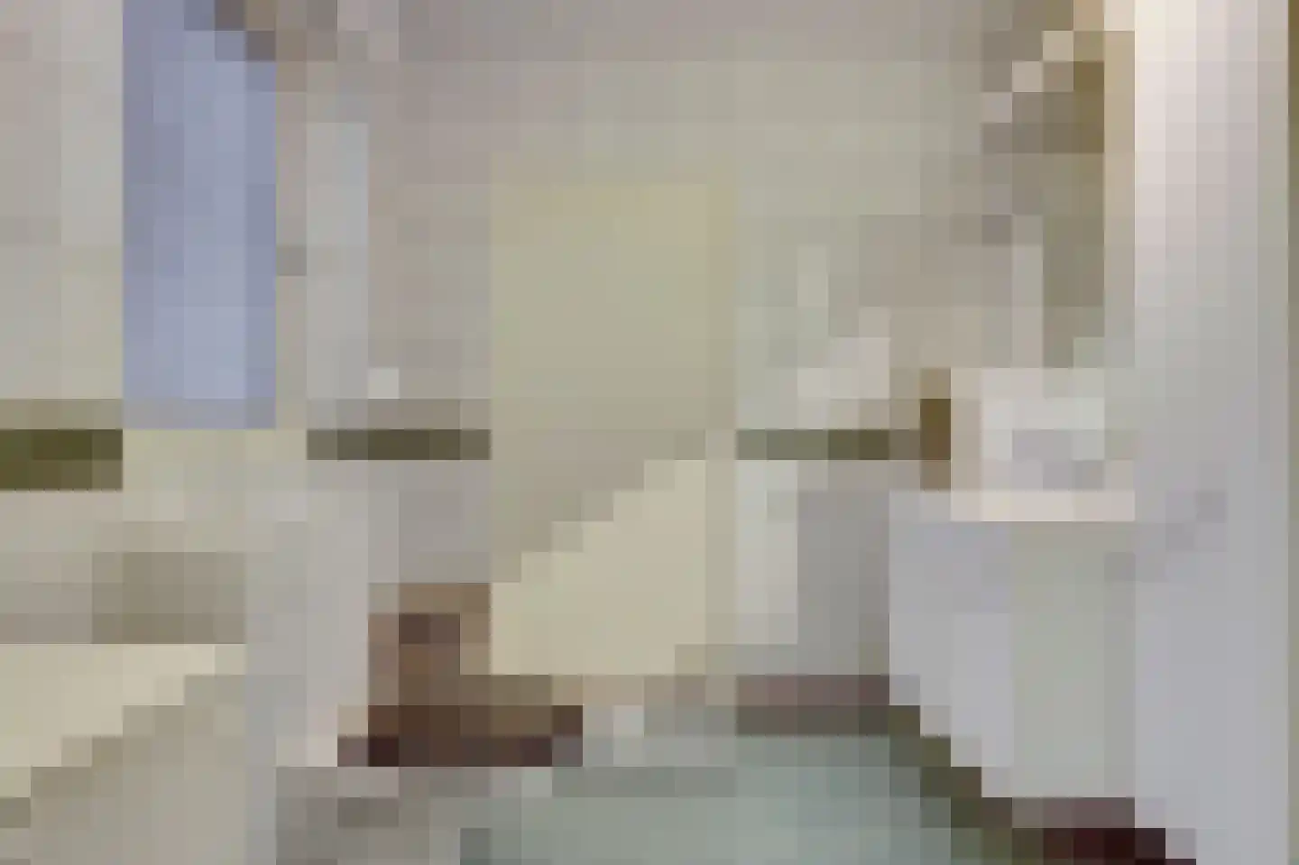 Saaftingestraat 39 Rilland thumbnail 19