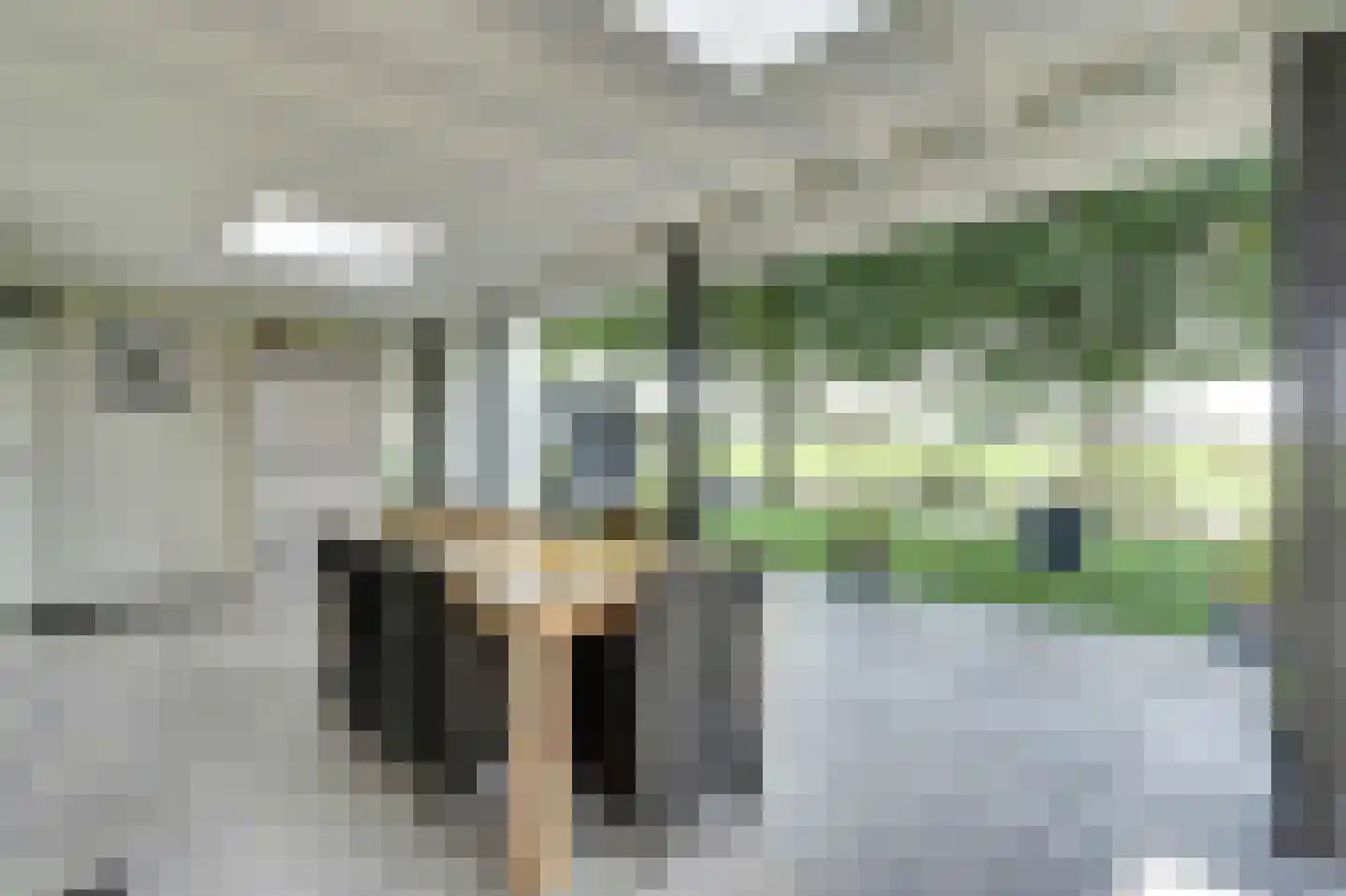 Saaftingestraat 39 Rilland thumbnail 20